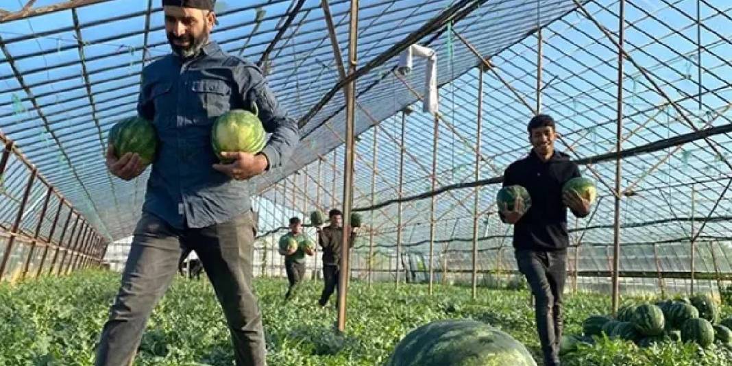 Yaz demek ‘Karpuz’ demek! Antalya’da yüzleri güldüren ilk hasat yapıldı 1